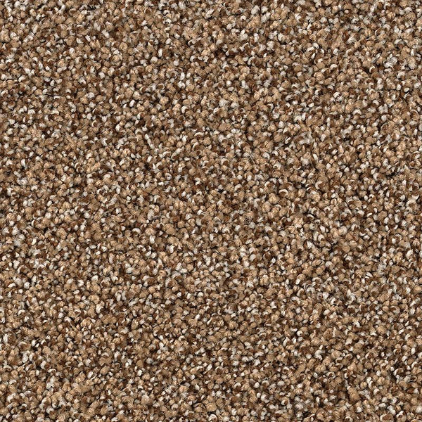 Close-up of Shaded Escape Family Friendly Carpet in Cigar Leaf, featuring a brown speckled look with tightly woven light and dark fibers for a soft, plush texture.
