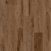 Cinnamon Bark Oak