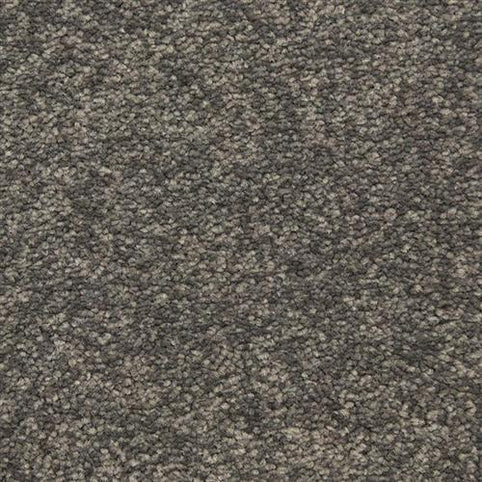 Close-up of Morgan Bay Family Friendly Carpet in City Limits, featuring a textured loop-pile with mixed brown and gray shades. The soft, durable surface is perfect for high-traffic residential or commercial spaces.
