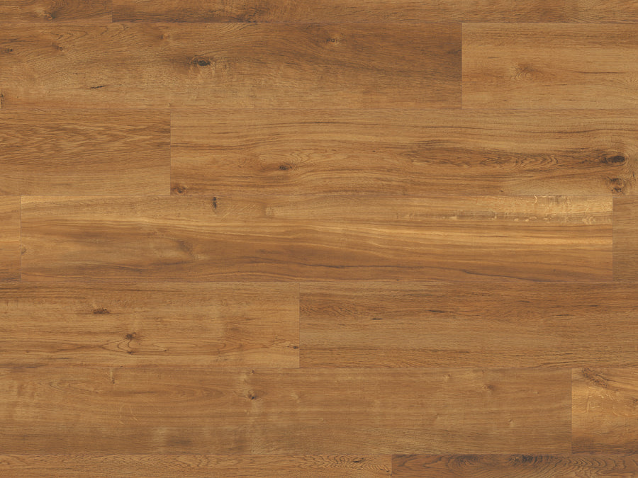 A close-up of Van Gogh Glue 7" Vinyl Plank in Classic Oak shows a natural medium brown finish with visible grain and subtle knots—ideal for high-traffic areas or glue-down installation.