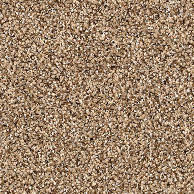 Close-up of Shaded Escape Family Friendly Carpet in Classic, featuring a durable, plush texture and tightly woven fibers in a random loop-pile pattern of brown and beige tones.