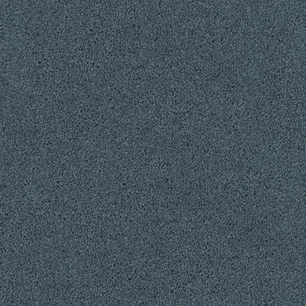 Close-up of Tribute Family Friendly Carpet in Classico—a dense, plush, dark blue-gray carpet with a soft, uniform, and slightly speckled texture. Stain resistant and durable, it’s ideal for family-friendly flooring.