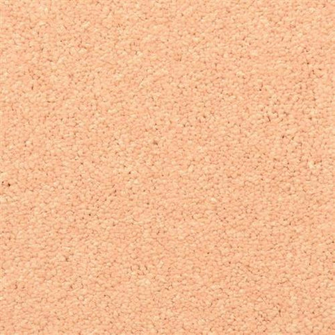 Close-up of Morgan Bay Family Friendly Carpet in Clay Pot, featuring a soft, textured, stain-resistant surface with tightly packed fibers—an ideal choice for family spaces.