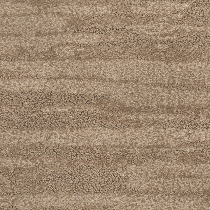 A close-up of Cirrus Berber Carpet in Cliff color shows its beige and light brown tones with a subtle wavy texture and plush feel—ideal for adding premium style and comfort to any space.