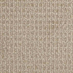 Close-up of Yucatan Pet Friendly Carpet in Cliffs color, featuring a durable, beige looped pile and a soft, woven texture.