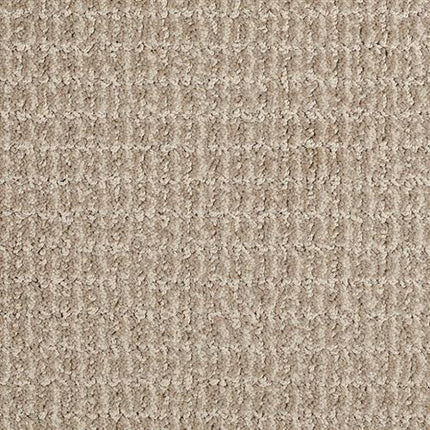 Close-up of Yucatan Pet Friendly Carpet in Cliffs color, featuring a durable, beige looped pile and a soft, woven texture.