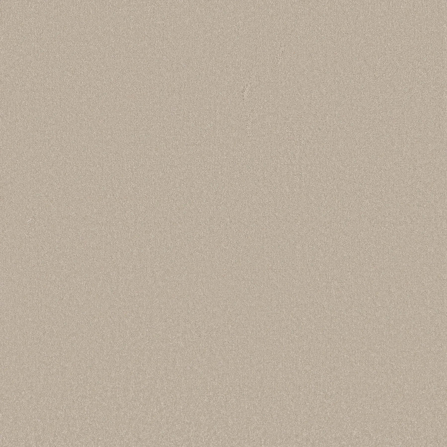 A close-up of Awaken Spirit Pet Friendly Carpet in Cloud shows a smooth, beige surface with fine texture. Its uniform look evokes comfort and suits contemporary spaces, with no visible patterns or objects for a modern appeal.