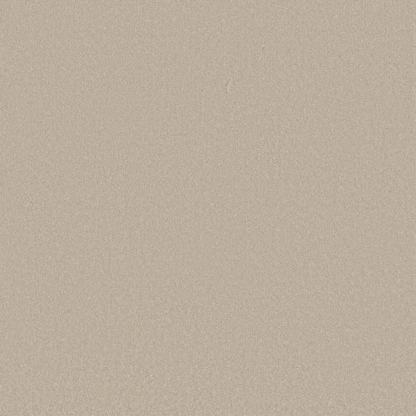 A close-up of Awaken Spirit Pet Friendly Carpet in Cloud shows a smooth, beige surface with fine texture. Its uniform look evokes comfort and suits contemporary spaces, with no visible patterns or objects for a modern appeal.