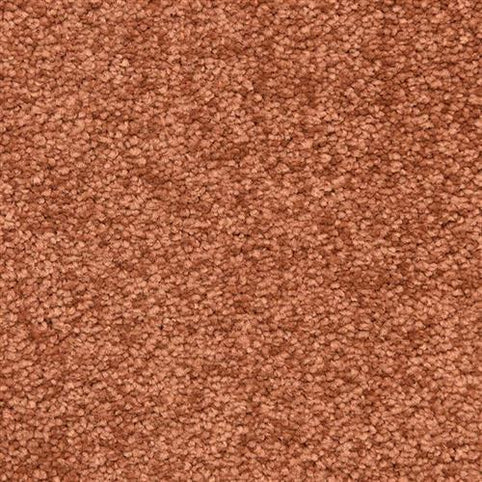 Close-up of Morgan Bay Family Friendly Carpet in Coach House color, featuring a soft, reddish-brown surface with tightly woven looped fibers and subtle variations for comfort and durability—ideal for high-traffic family areas.