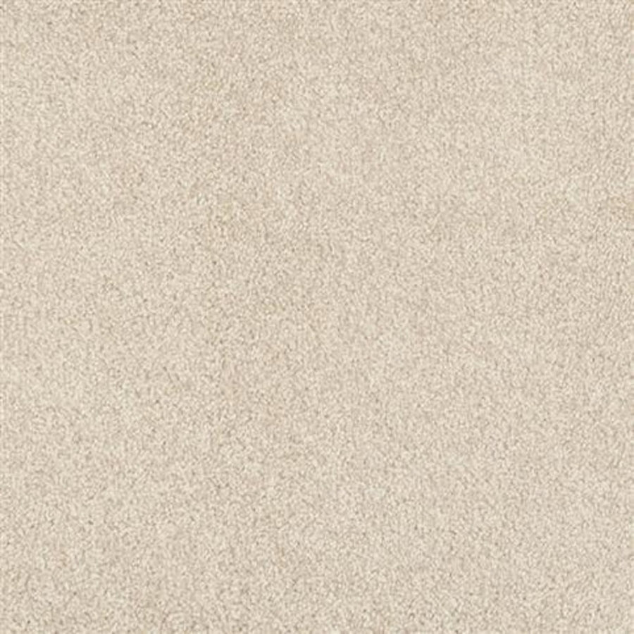 A close-up of Oceanside Family Friendly Carpet in Coastal Fog shows its soft, textured surface. Dense, uniform fibers create plush, durable flooring that delivers cozy comfort and long-lasting performance for any home.