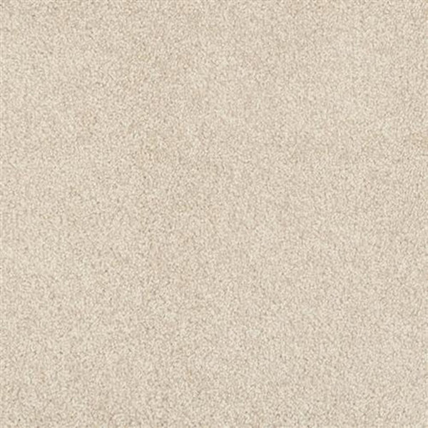 A close-up of Oceanside Family Friendly Carpet in Coastal Fog shows its soft, textured surface. Dense, uniform fibers create plush, durable flooring that delivers cozy comfort and long-lasting performance for any home.
