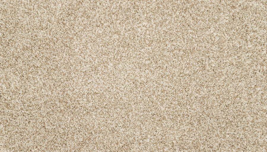 Close-up view of Furocious I Pet Friendly Carpet in beige, featuring a plush texture and densely packed fibers for a uniform, cozy look—an ideal pet-friendly choice for any interior design.