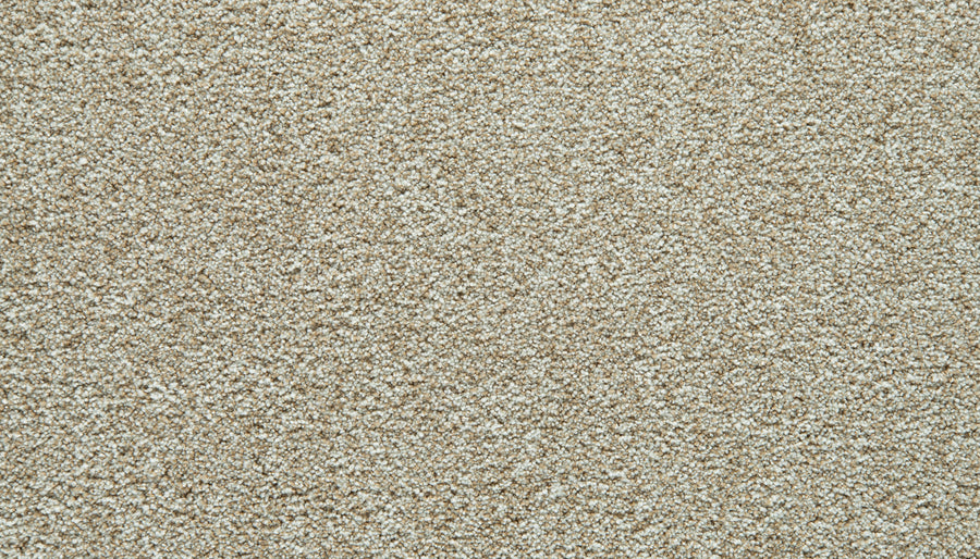 Close-up of light coconut Cozy Companion Pet Friendly Carpet with a textured, slightly speckled surface. The plush carpet fibers appear soft and densely packed, creating a uniform and cozy appearance perfect for any room.