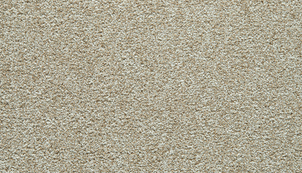 Close-up of light coconut Cozy Companion Pet Friendly Carpet with a textured, slightly speckled surface. The plush carpet fibers appear soft and densely packed, creating a uniform and cozy appearance perfect for any room.
