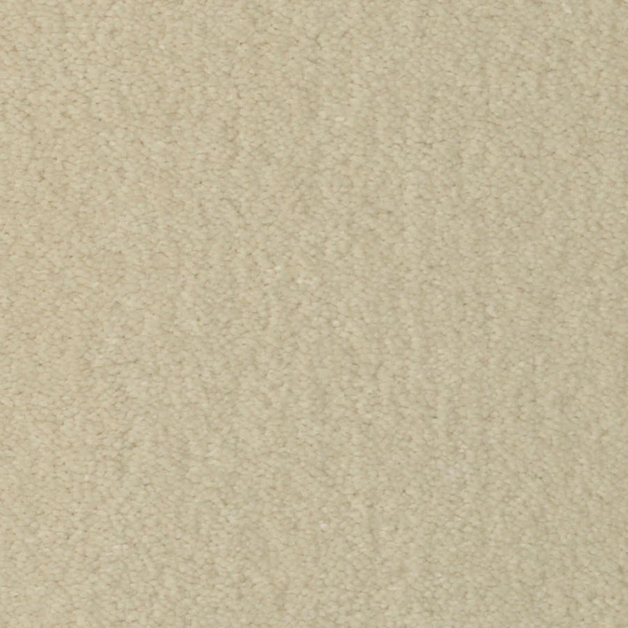 Close-up of Seduction On Trend Carpet in Coconut Milk, showcasing its uniform texture and plush, soft fibers for an inviting touch.