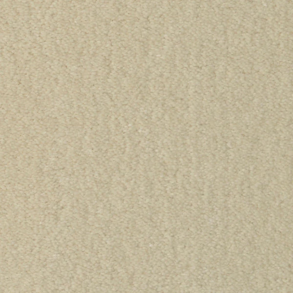 Close-up of Seduction On Trend Carpet in Coconut Milk, showcasing its uniform texture and plush, soft fibers for an inviting touch.