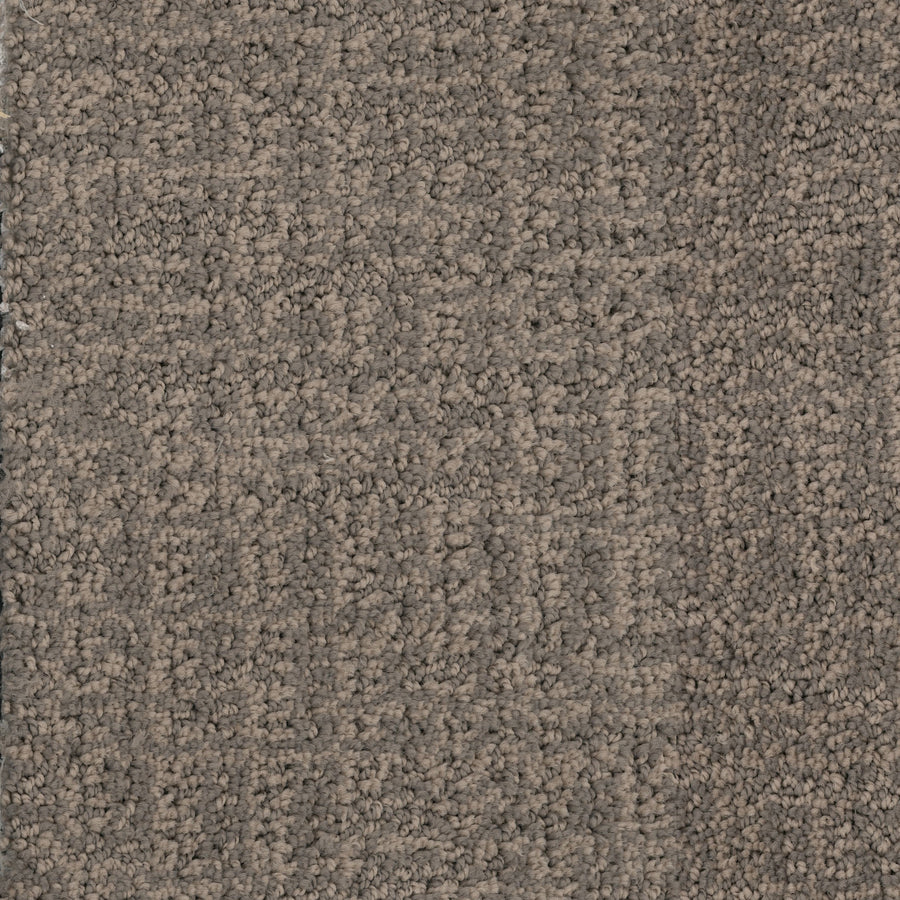 Close-up of Connection Pet Friendly Carpet, showcasing its textured brown cut and loop design with subtle shade variations—perfect for homes with pets.