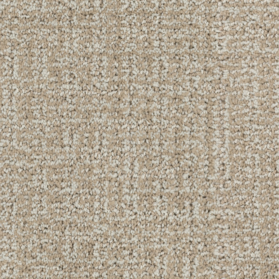 Close-up of Connection Pet Friendly Carpet featuring a cut and loop texture in beige and cream, with light and darker fibers for a soft, speckled look—ideal for adding subtle pattern to any pet friendly space.