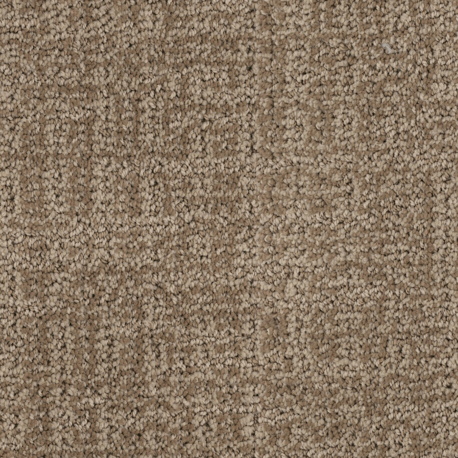 Close-up of Connection Pet Friendly Carpet, showcasing tightly woven fibers and a subtle cut and loop texture in beige with light to medium brown color variations.