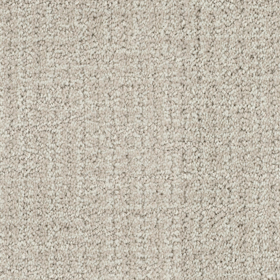 Close-up of Connection Pet Friendly Carpet, a textured beige looped pile with subtle multi-color flecks for depth and pattern, offering a soft, pet-friendly surface.