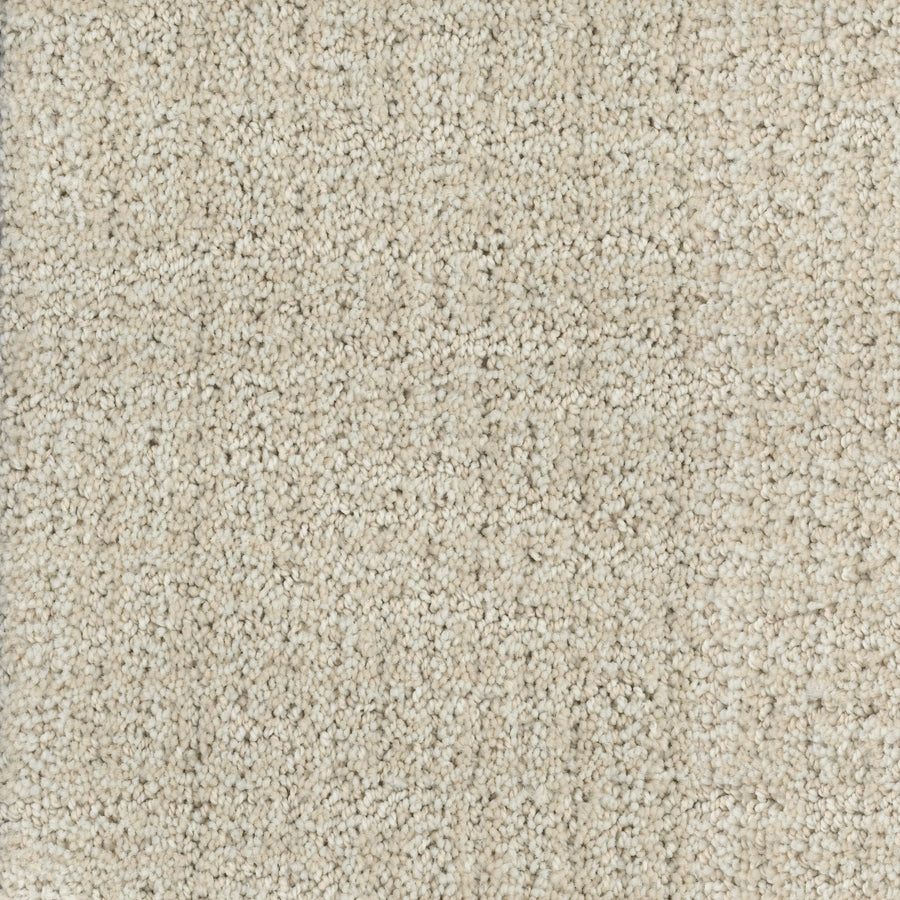 Close-up of Connection Pet Friendly Carpet in beige, featuring a cut and loop texture with a subtle speckled look and plush, dense fibers—perfect for busy homes with pets.