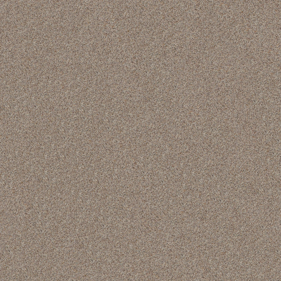 Close-up of Canyon Lake Family Friendly Carpet in Cool Mist, featuring fine, light brown fibers with multicolored accents that create a textured surface reminiscent of contemporary resilient flooring.