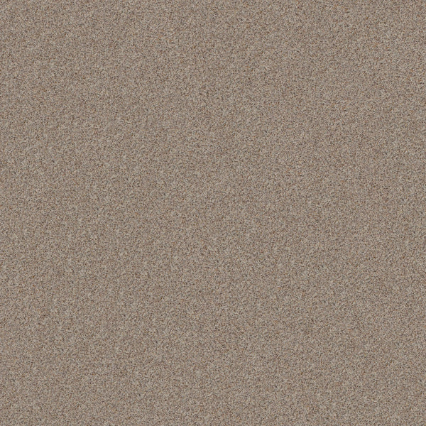 Close-up of Canyon Lake Family Friendly Carpet in Cool Mist, featuring fine, light brown fibers with multicolored accents that create a textured surface reminiscent of contemporary resilient flooring.