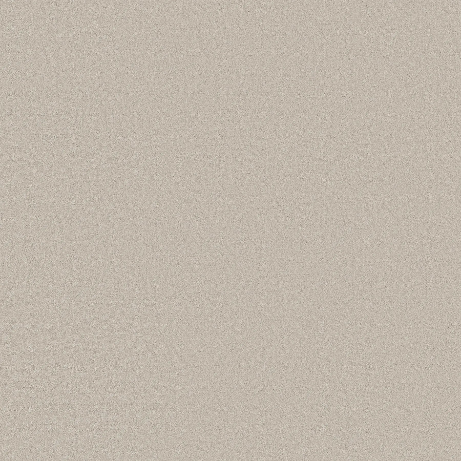 A close-up of Smooth Tone Pet Friendly Carpet in Cool Winter shows its light beige, subtle grainy texture. This stain-resistant carpet is durable, withstands daily wear, and is ideal for pet-friendly homes.