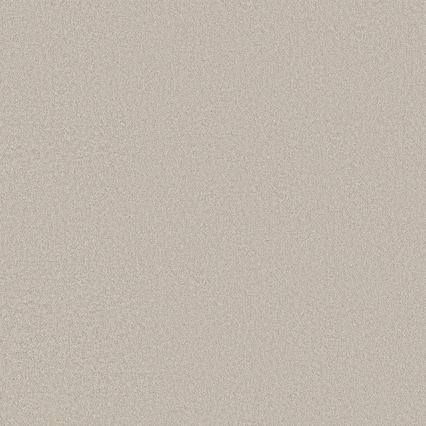 A seamless, cool winter blue carpet with a smooth texture and subtle grain, offering a pet-friendly, luxurious flooring appeal and uniform appearance throughout the image.