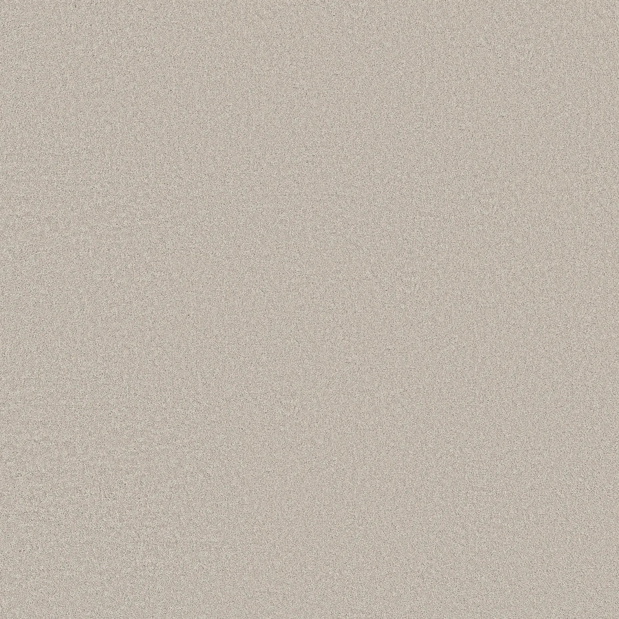 Close-up of Classic Tone Pet Friendly Carpet in Cool Winter, showing a light beige textured surface with a subtle grainy look—resembling fine sand or stucco and highlighting its durable, pet-friendly design.