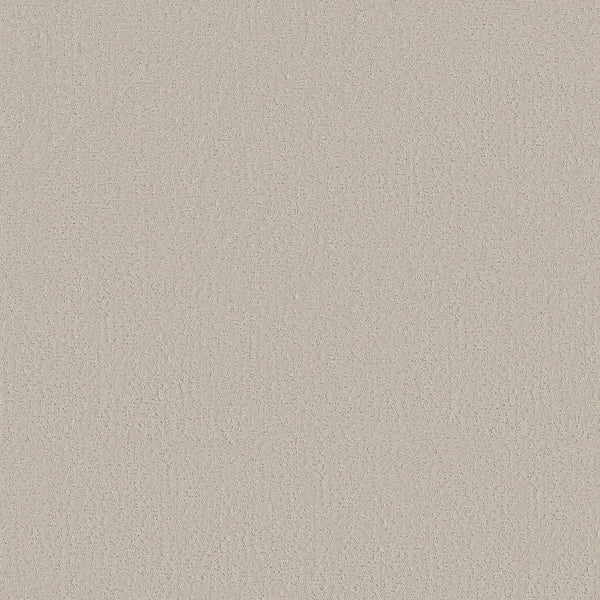 A close-up of Crafted Tone Pet Friendly Carpet in Cool Winter shows its textured, uniform pattern—ideal for homes needing durable, stain resistant, pet friendly flooring.