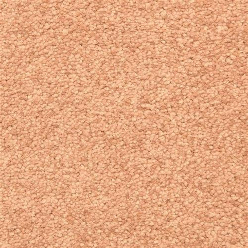 Close-up of Morgan Bay Family Friendly Carpet in Copper color, featuring tightly woven, small looped fibers for a soft, uniform, and textured surface—ideal for high-traffic family areas with no visible patterns or stains.