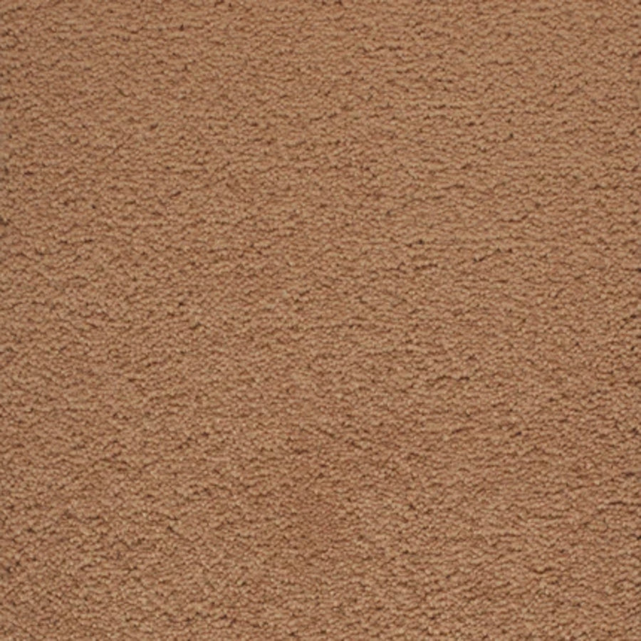 Close-up of Dolce Family Friendly Carpet in Copper Penny shade, featuring a soft, slightly textured surface with a uniform brown color—perfect for high-traffic areas and everyday family living.