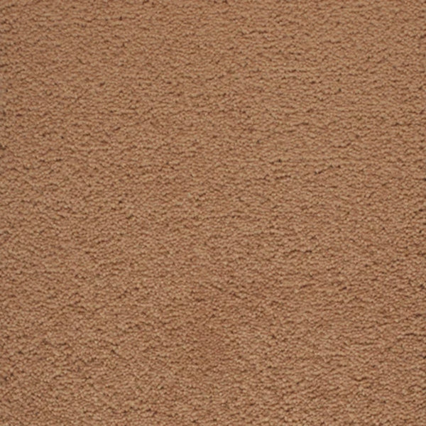 Close-up of Dolce Family Friendly Carpet in Copper Penny shade, featuring a soft, slightly textured surface with a uniform brown color—perfect for high-traffic areas and everyday family living.