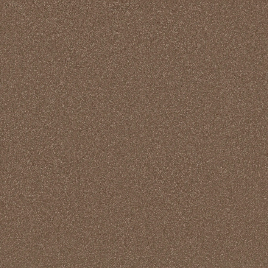 Close-up image of Awaken Spirit Pet Friendly Carpet in Copperglaze, highlighting its rich texture and warm tone—an essential, durable choice for contemporary spaces and pet-friendly homes.