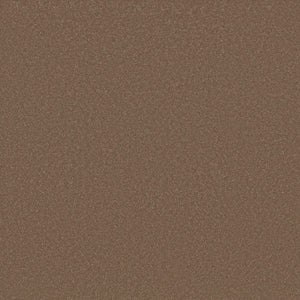 Close-up image of Awaken Spirit Pet Friendly Carpet in Copperglaze, highlighting its rich texture and warm tone—an essential, durable choice for contemporary spaces and pet-friendly homes.