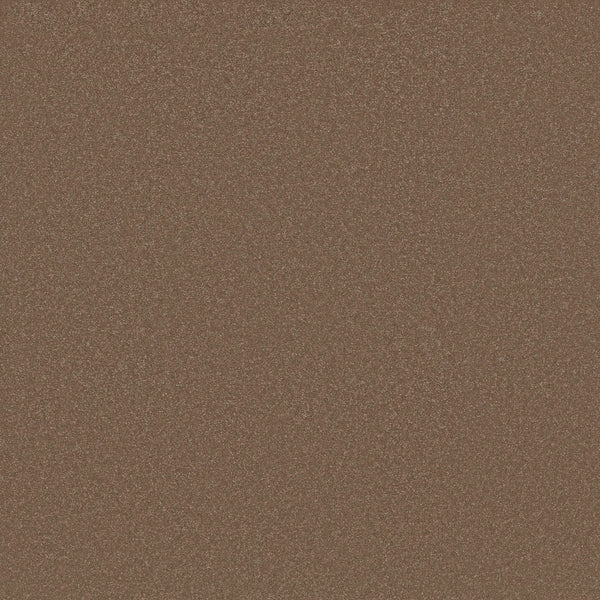 Close-up image of Awaken Spirit Pet Friendly Carpet in Copperglaze, highlighting its rich texture and warm tone—an essential, durable choice for contemporary spaces and pet-friendly homes.