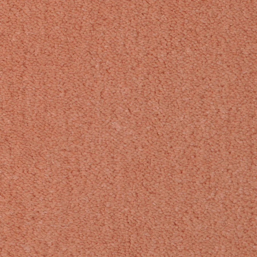 Close-up of Seduction On Trend Carpet in Coral Touch, featuring a looped pile surface with even color and a plush, luxurious texture—perfect for those wanting durable yet comfortable flooring.