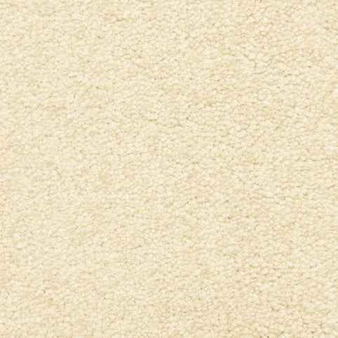 Close-up of the Morgan Bay Family Friendly Carpet in Cork color, featuring a soft, plush texture and an even pattern. The neutral tone makes it ideal for busy households seeking comfort and style.