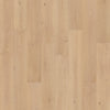 Cork Oak