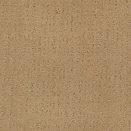 Homage Berber Carpet in Corvo features a subtle, irregular pattern of raised textured dots and lines, creating a soft, woven look—ideal for high-traffic areas.