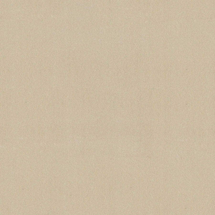 Awaken Spirit Pet Friendly Carpet in Cottage features a light beige color with a fine grain, smooth and slightly mottled appearance. Its durable, natural surface is ideal for contemporary design projects or as a stylish background element.