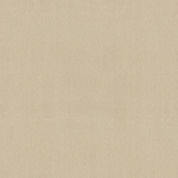 Awaken Spirit Pet Friendly Carpet in Cottage features a light beige color with a fine grain, smooth and slightly mottled appearance. Its durable, natural surface is ideal for contemporary design projects or as a stylish background element.