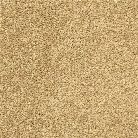 Close-up of Morgan Bay Family Friendly Carpet in Council Bluff, featuring a looped pile texture for a soft, uniform surface—perfect for busy family homes.