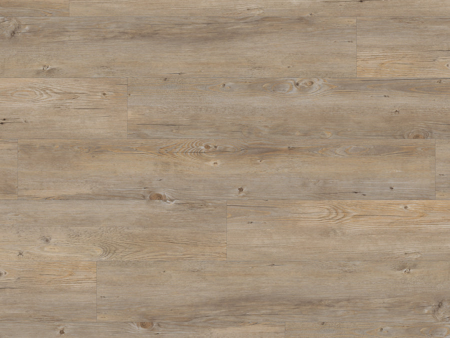 Van Gogh Glue 7" Vinyl Plank in Country Oak showcases light brown tones, natural grain, knots, and subtle color variations for a rustic look. Its durable glue-down design is ideal for high-traffic areas and features a staggered plank pattern.