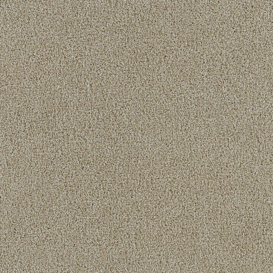 Close-up view of the Spectrum II Pet Friendly Carpet in Cream, showcasing densely packed, fine fibers that create a uniform plush texture with subtle variations in color and brightness—reminiscent of light brown sand grains—designed to be both stain resistant and pet friendly.