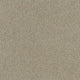 Spectrum II Pet Friendly Carpet - Cream
