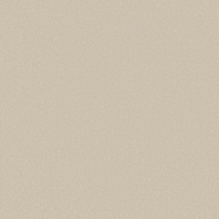 A close-up of Awaken Spirit Pet Friendly Carpet in Cream showcases its smooth, fine texture and even surface, highlighting both durability and modern style.