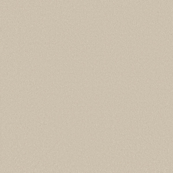 A close-up of Awaken Spirit Pet Friendly Carpet in Cream showcases its smooth, fine texture and even surface, highlighting both durability and modern style.