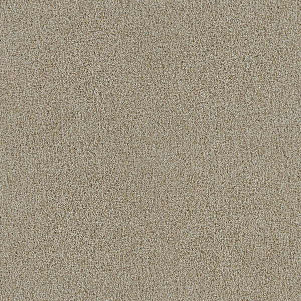 Close-up view of the Spectrum II Pet Friendly Carpet in Cream, showcasing densely packed, fine fibers that create a uniform plush texture with subtle variations in color and brightness—reminiscent of light brown sand grains—designed to be both stain resistant and pet friendly.